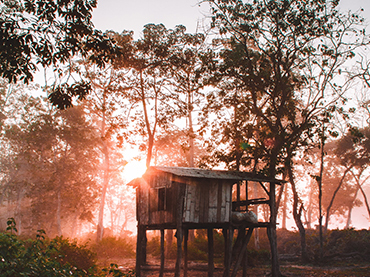 Jungle Safari, Here you come!