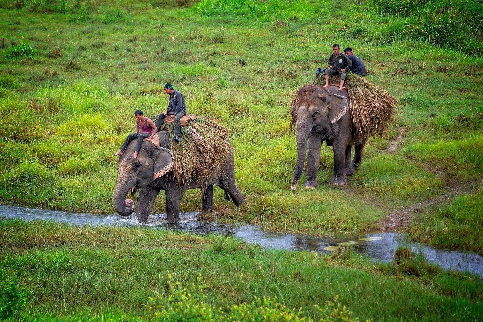 Two Days to Rhino Land