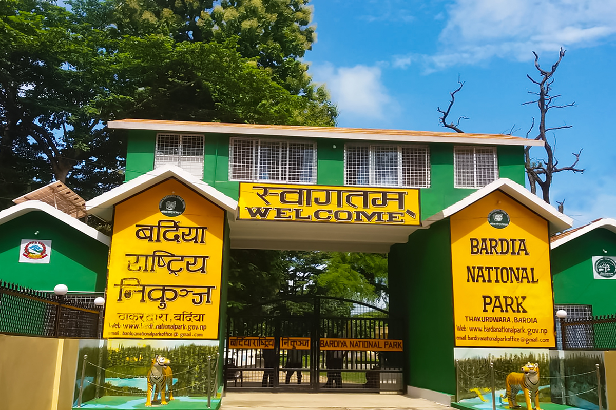 Wild, Wild Bardiya